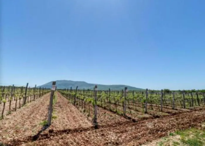 Burnum Πανσιόν